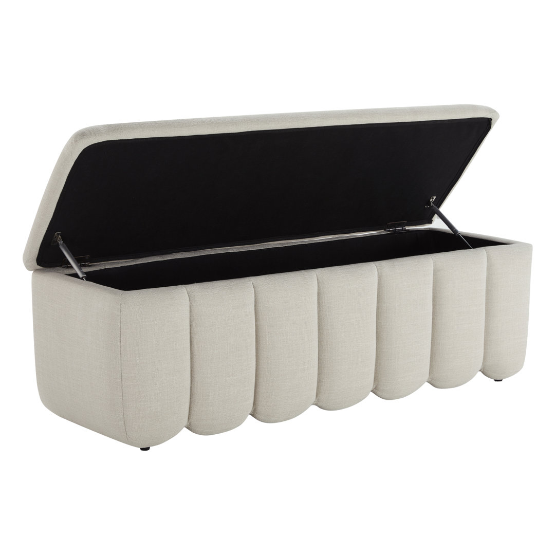 Jeddo 53.5" Wide Rectangle Storage Bench